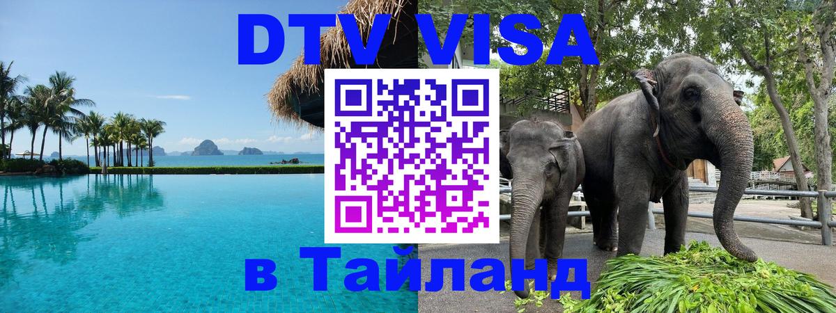 Сколько стоит DTV виза — актуальные цены, оформление даже без документов - 19.11.2025 